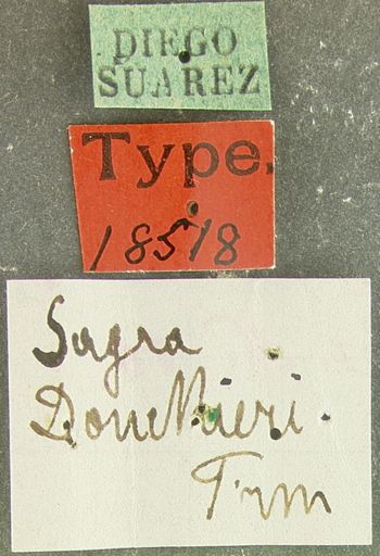 Media type: image; Entomology 18518   Aspect: labels